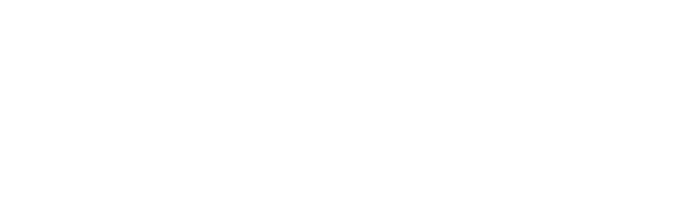 dr nazli logo white